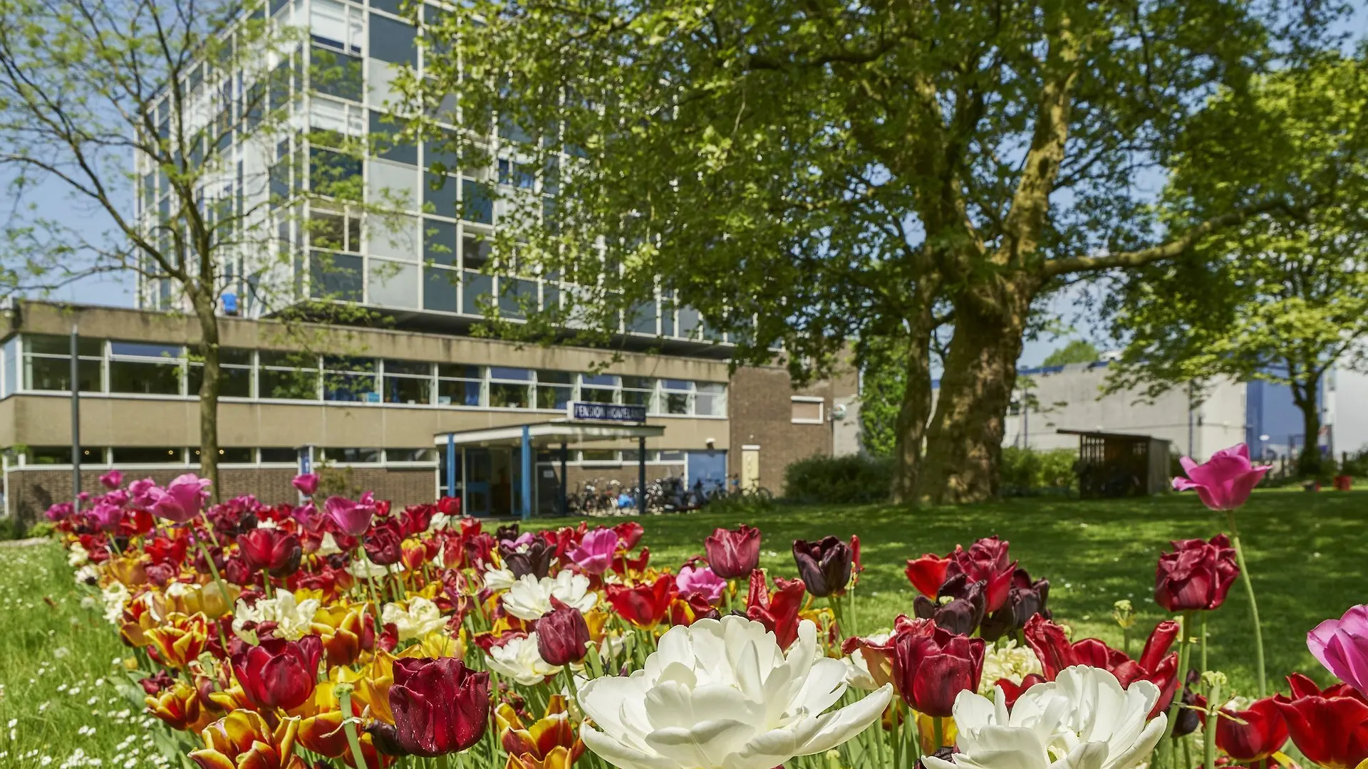 Hotell Pension Homeland Amsterdam